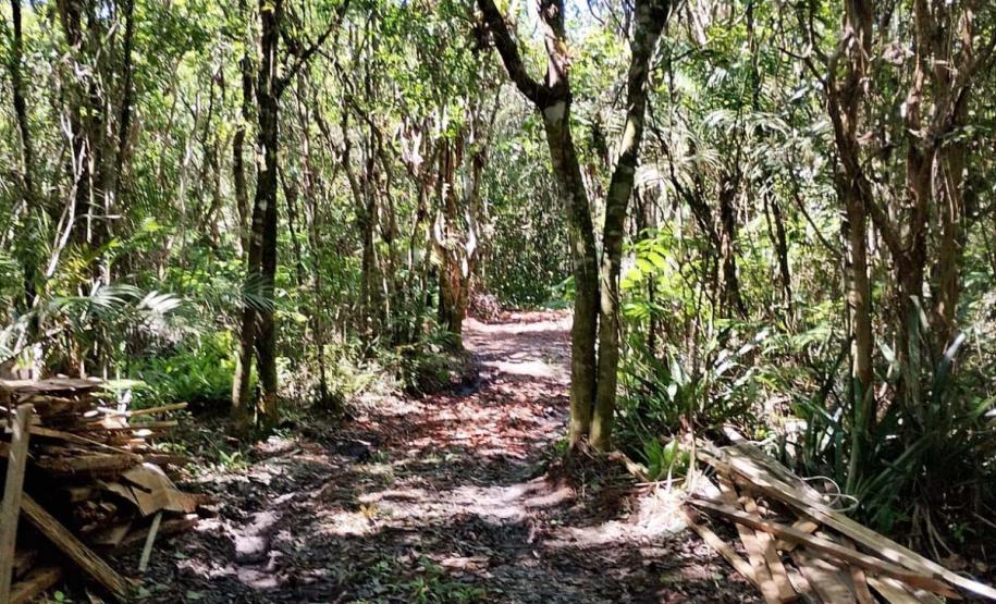 IAT aplicou R$ 1,9 milhão em multas por crimes ambientais durante o Verão Maior Paraná