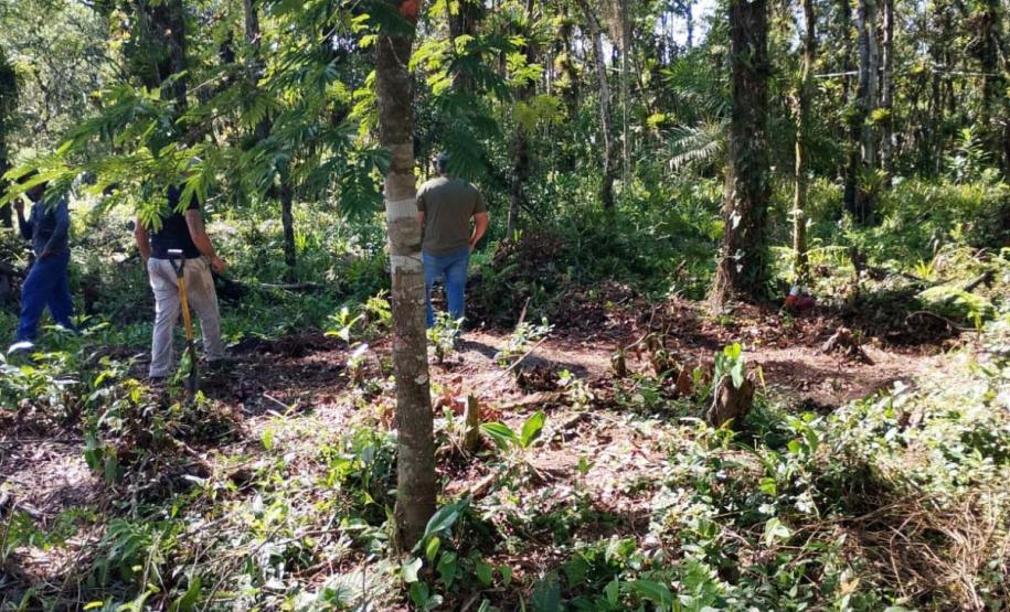 IAT aplicou R$ 1,9 milhão em multas por crimes ambientais durante o Verão Maior Paraná