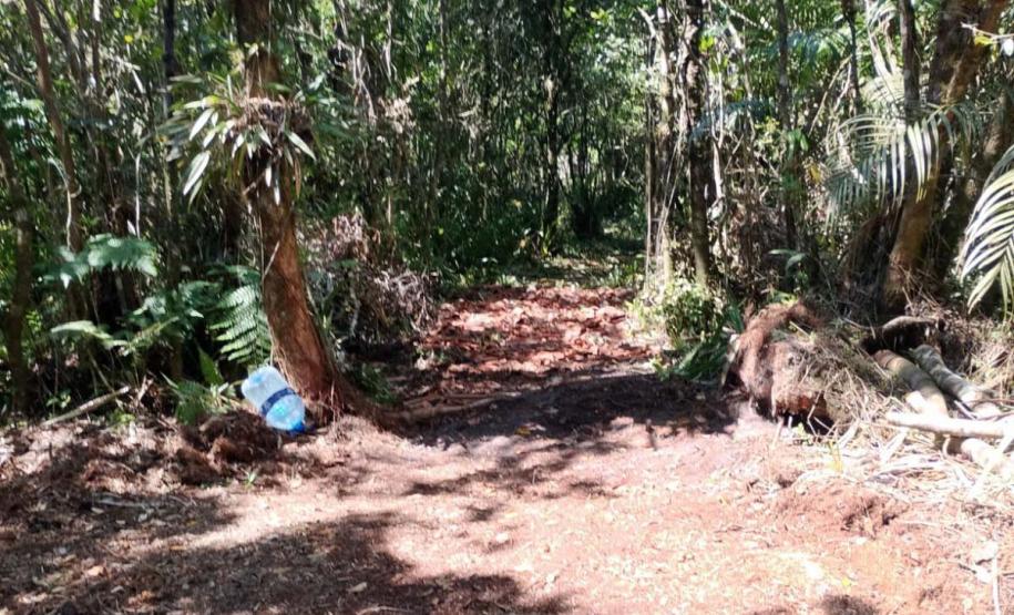 IAT aplicou R$ 1,9 milhão em multas por crimes ambientais durante o Verão Maior Paraná