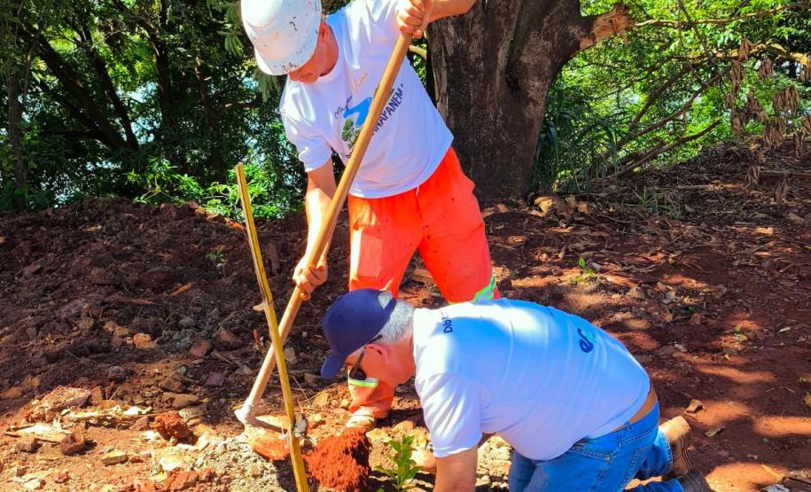 IAT e EPR Litoral Pioneiro promovem recuperação de mata ciliar no Rio Paranapanema