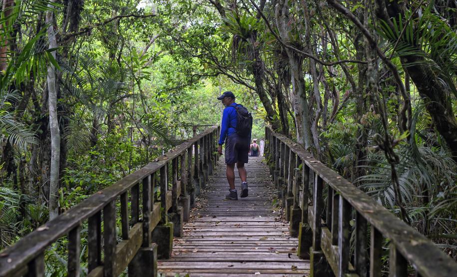 Parque Rio da Onça: um paraíso da Mata Atlântica encravado entre as praias do Paraná