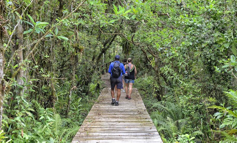 Parque Rio da Onça: um paraíso da Mata Atlântica encravado entre as praias do Paraná