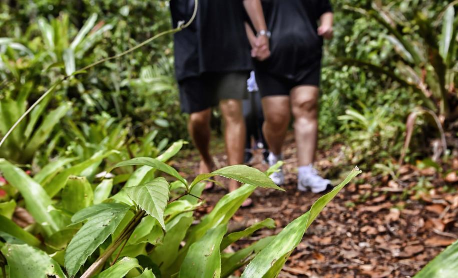 Parque Rio da Onça: um paraíso da Mata Atlântica encravado entre as praias do Paraná