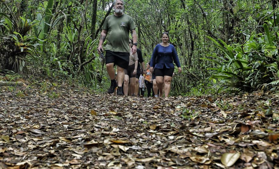 Parque Rio da Onça: um paraíso da Mata Atlântica encravado entre as praias do Paraná