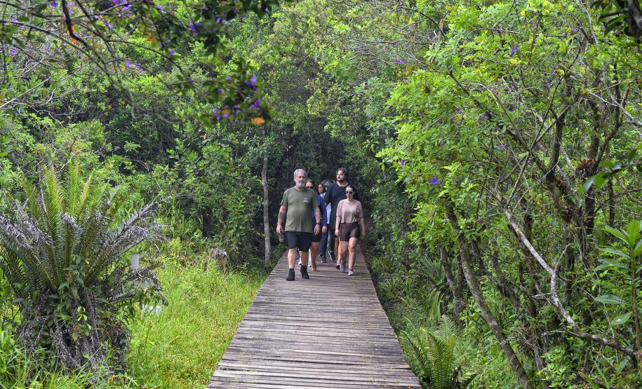 Parque Rio da Onça: um paraíso da Mata Atlântica encravado entre as praias do Paraná