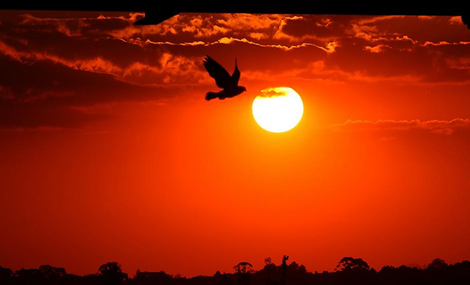 Com La Niña, verão 2025/2026 foi marcado por chuvas irregulares e temperatura de 39,7°C