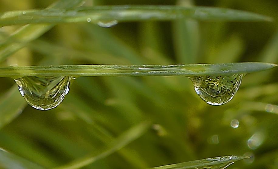 Dia Mundial da Água: IAT promove uma série de atividades para conscientizar a população