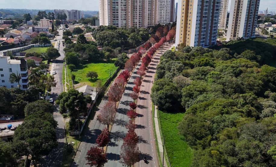Outono começa na sexta com chuva acima da média e mais dias com amplitude térmica