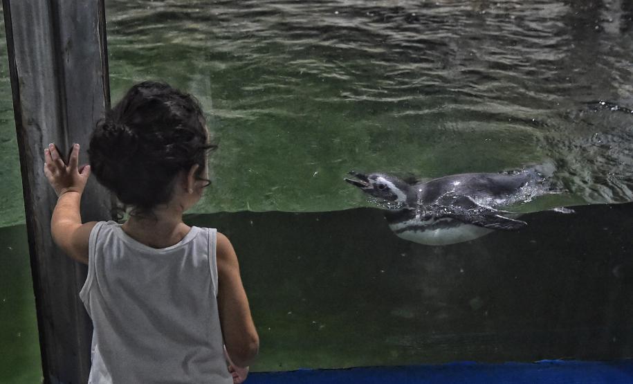 Natureza do Paraná: confira seis dicas de passeios para o feriado de Tiradentes