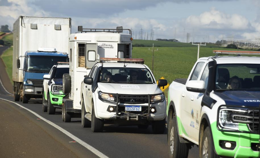 IAT resgata 29 cutias e 9 pacas de criadouro irregular em Cantagalo, no Centro-Sul