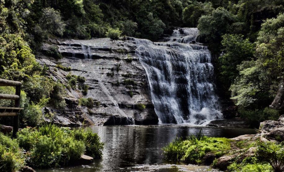 Jardim Botânico de Londrina: passeio pela flora nativa do Paraná