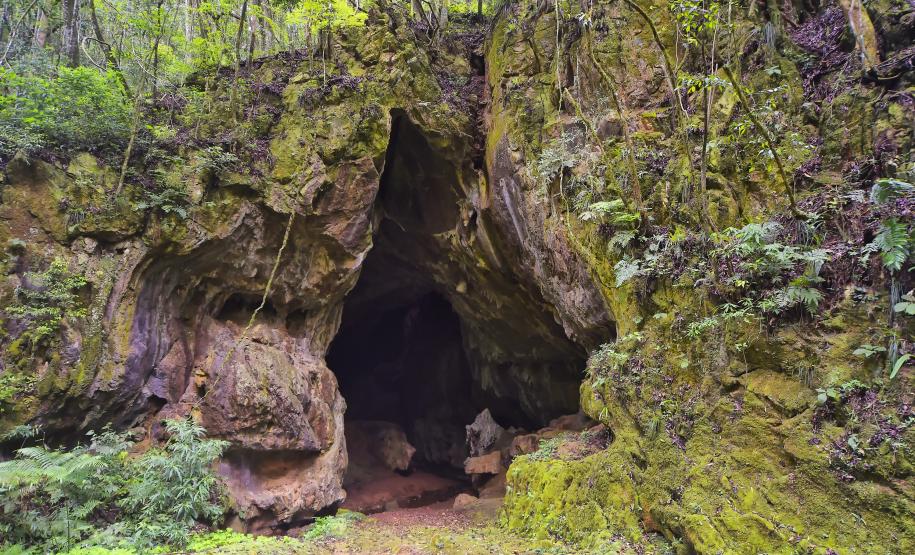 Natureza do Paraná: confira seis dicas de passeios para o feriado de Tiradentes
