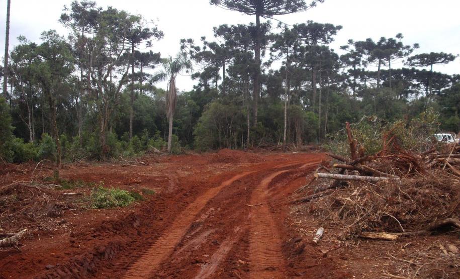 Com descontos e parcelamentos, Estado regulamenta Refis Ambiental