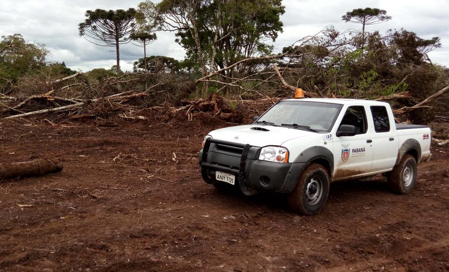 Com descontos e parcelamentos, Estado regulamenta Refis Ambiental