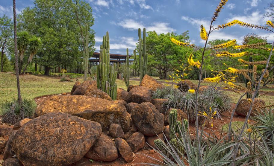 Jardim Botânico de Londrina: passeio pela flora nativa do Paraná