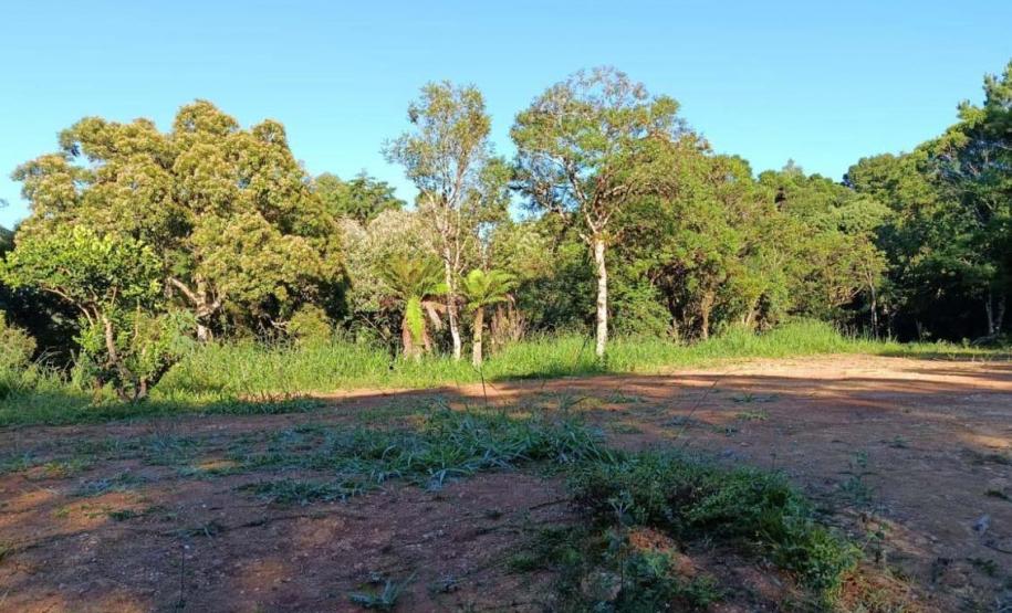 Primeira edição da força-tarefa "Espaço Naturais Protegidos", de combate a crimes ambientais em Unidades de Conservação, aplicou R$ 878 mil em multas