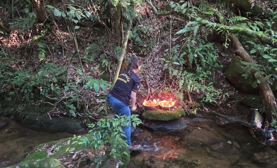 Primeira edição da força-tarefa "Espaço Naturais Protegidos", de combate a crimes ambientais em Unidades de Conservação, aplicou R$ 878 mil em multas