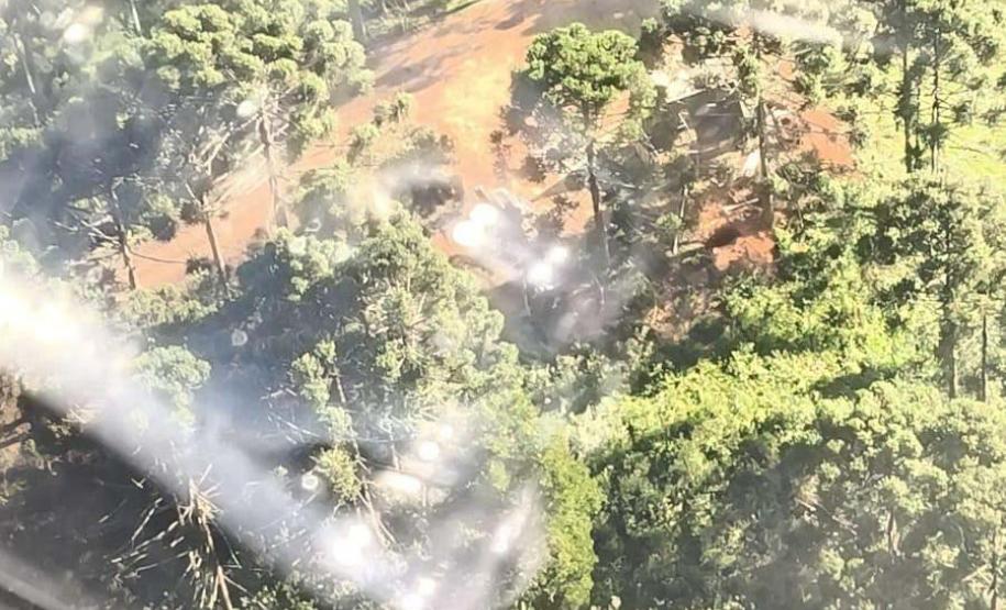 Primeira edição da força-tarefa "Espaço Naturais Protegidos", de combate a crimes ambientais em Unidades de Conservação, aplicou R$ 878 mil em multas