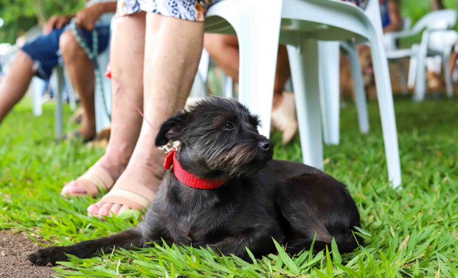 Contrapartida social do Paraná Competitivo vai revitalizar praças com foco pet