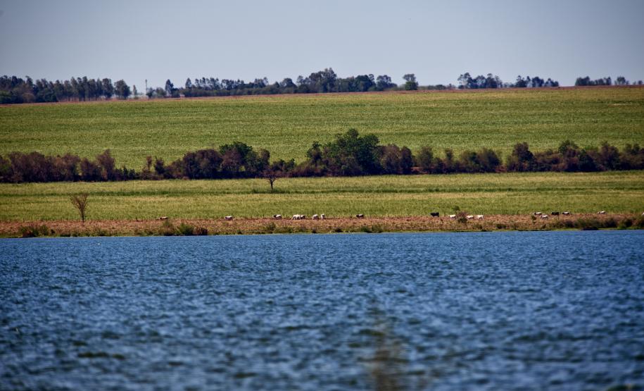 Quatro comitês de bacias hidrográficas se reúnem para discutir a gestão da água no Paraná