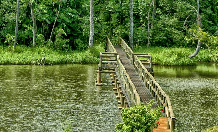 Confira dicas de passeios para curtir o feriado da Páscoa em meio à natureza do Paraná
