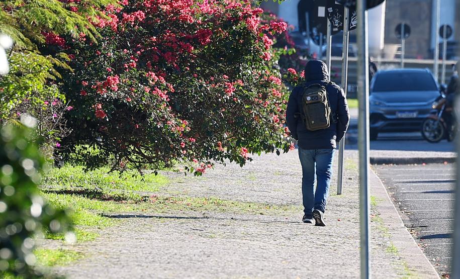 Com massa de ar polar, Paraná tem primeiras temperaturas negativas e recorde de frio no ano