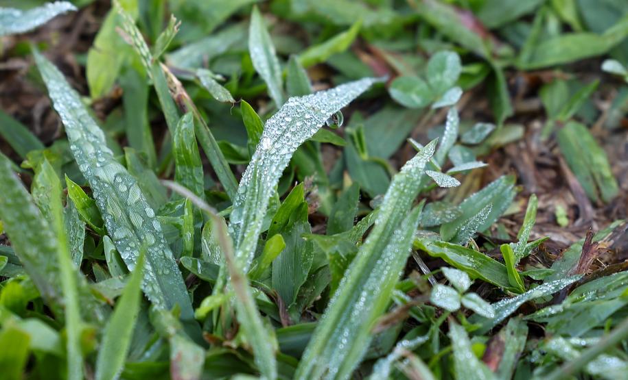 Com massa de ar polar, Paraná tem primeiras temperaturas negativas e recorde de frio no ano