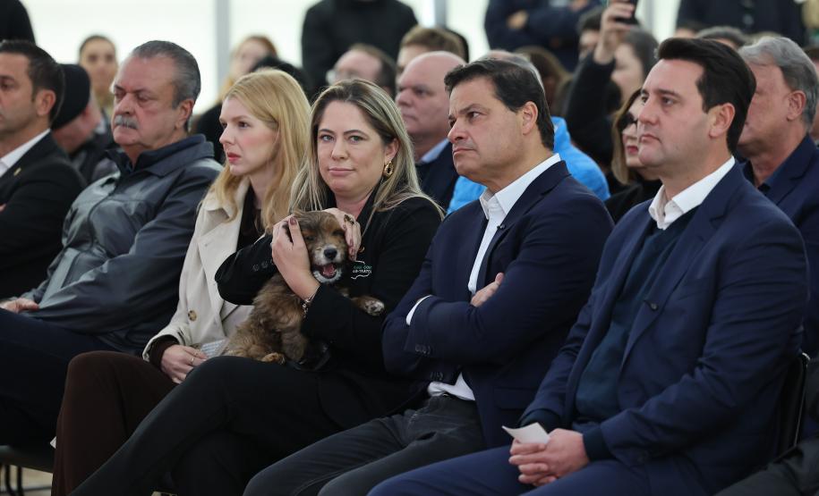 Estado fará 80 mil atendimentos em programa itinerante de consultas e vacinas para cães e gatos