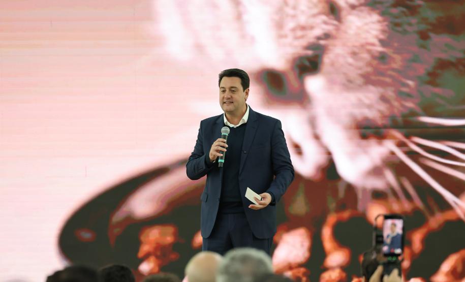 Novo programa para animais, Vet-Móvel começa em junho pela RMC e Litoral