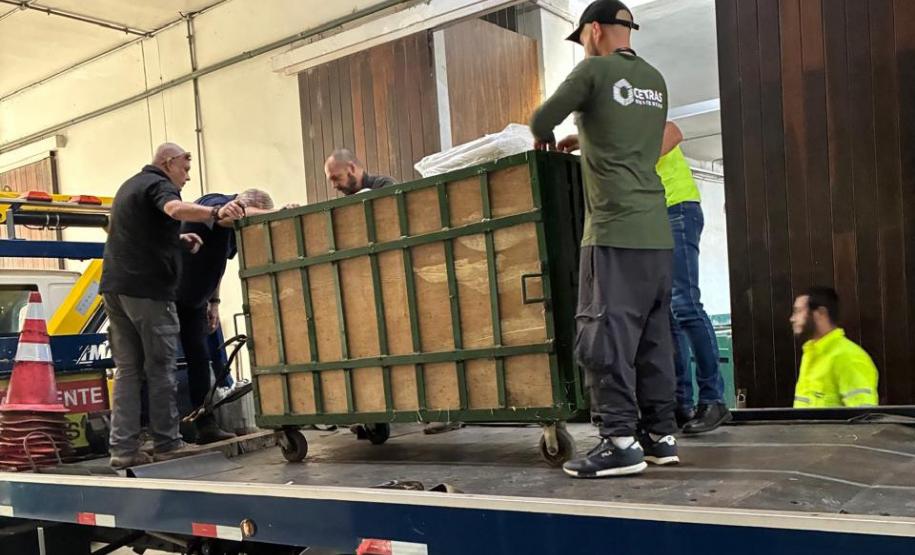 Anta que sofreu acidente na BR-277 retorna à natureza em área de conservação da Serra do Mar