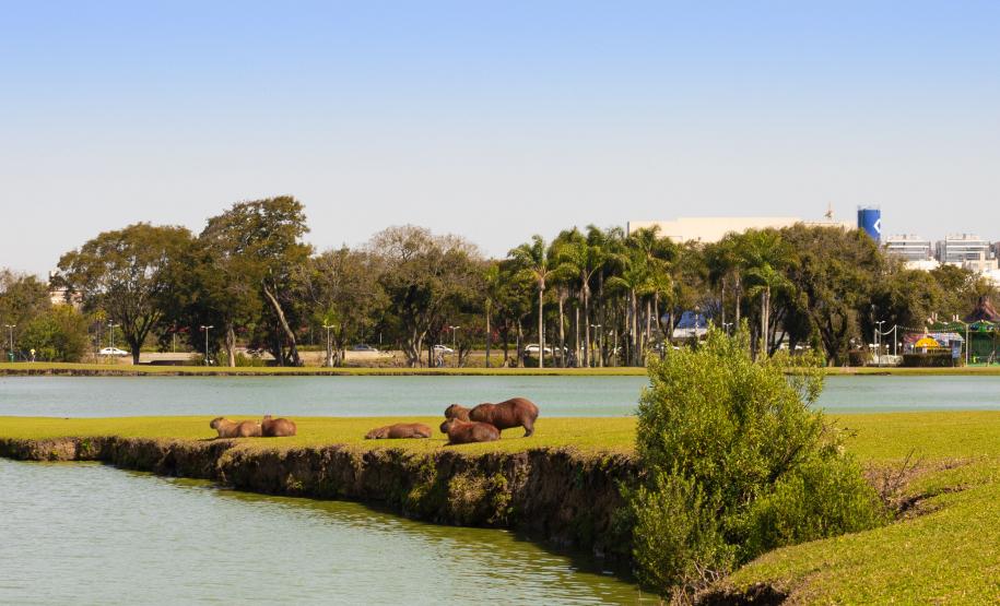 Abril registra chuva e temperaturas acima da média na maior parte do Paraná