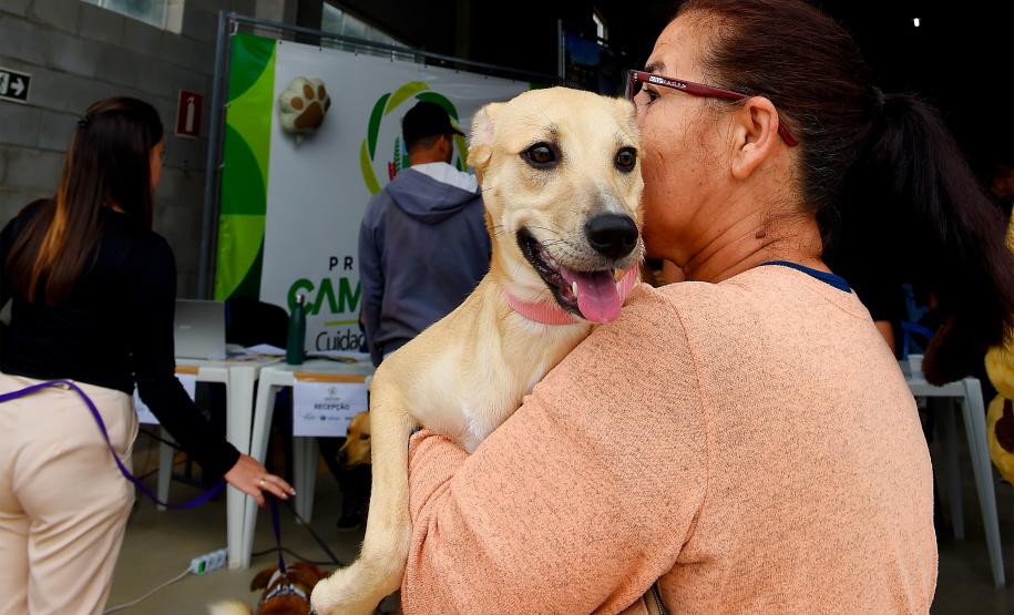 Atendimentos do Vet-Móvel Paraná começam na segunda-feira; veja como se inscrever