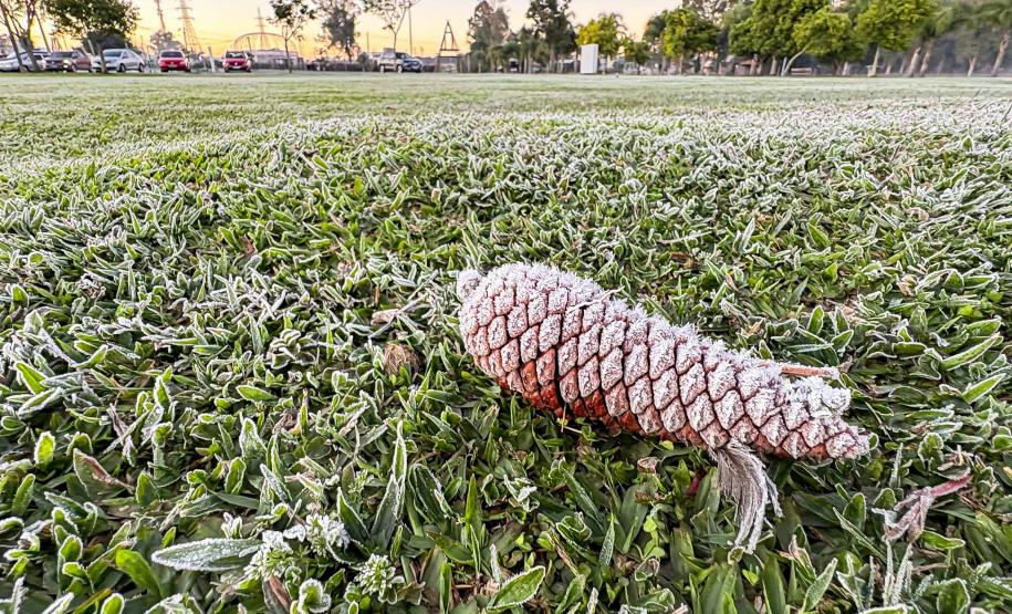 Sinais de inverno: maio terá frentes frias, geada e temperaturas abaixo de 10°C