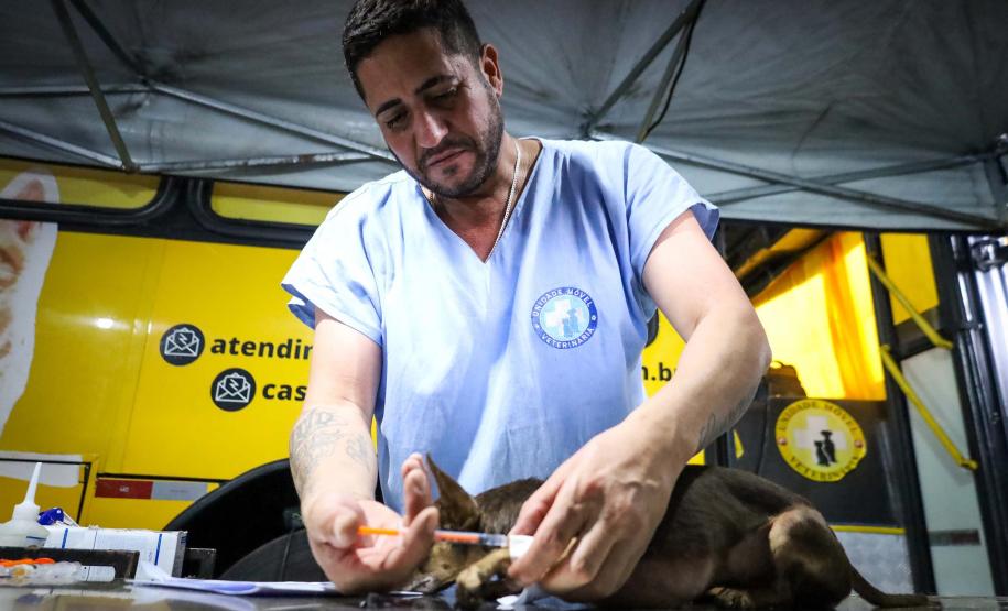 Para ampliar políticas públicas, Estado cria Superintendência-Geral de Proteção Animal