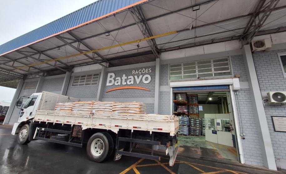Parceria entre IAT e Frísia vai ampliar estratégias de manejo de javalis em parques estaduais