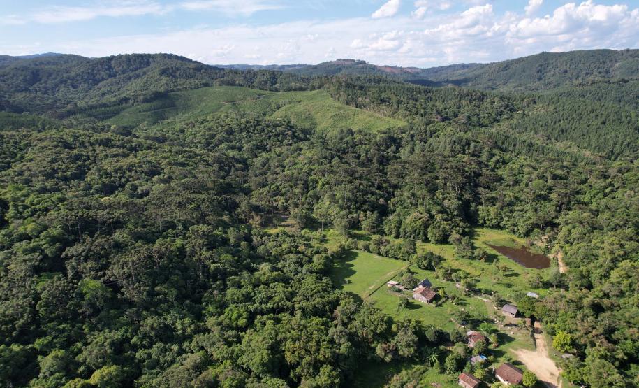 Paraná vai ganhar uma Londrina de área protegida com novas UCs em estudo pelo IAT