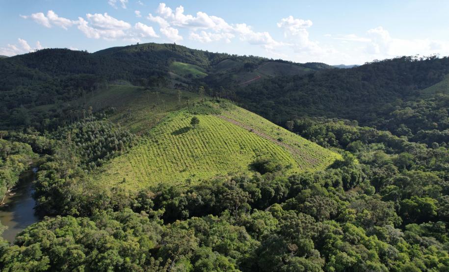 Paraná vai ganhar uma Londrina de área protegida com novas UCs em estudo pelo IAT