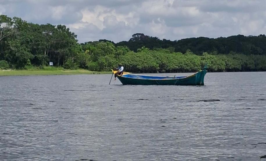 Paraná vai ganhar uma Londrina de área protegida com novas UCs em estudo pelo IAT