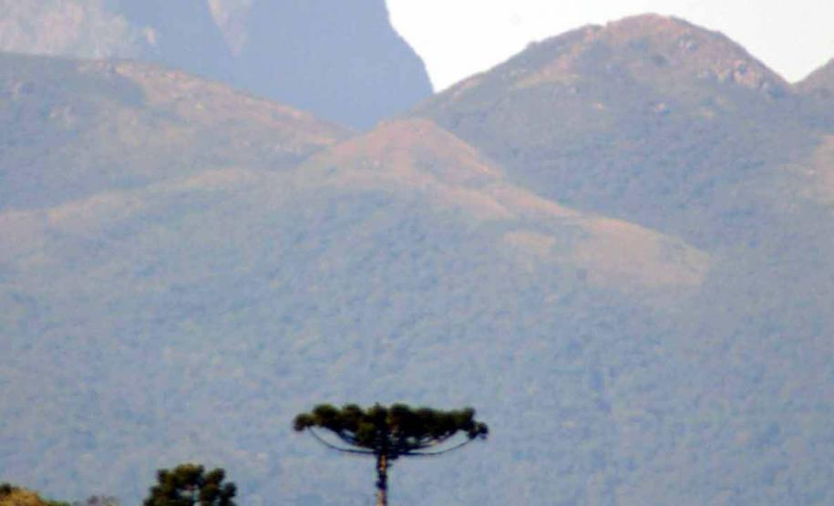 IAT reforça cuidados especiais em áreas de campos de altitude do Pico Paraná