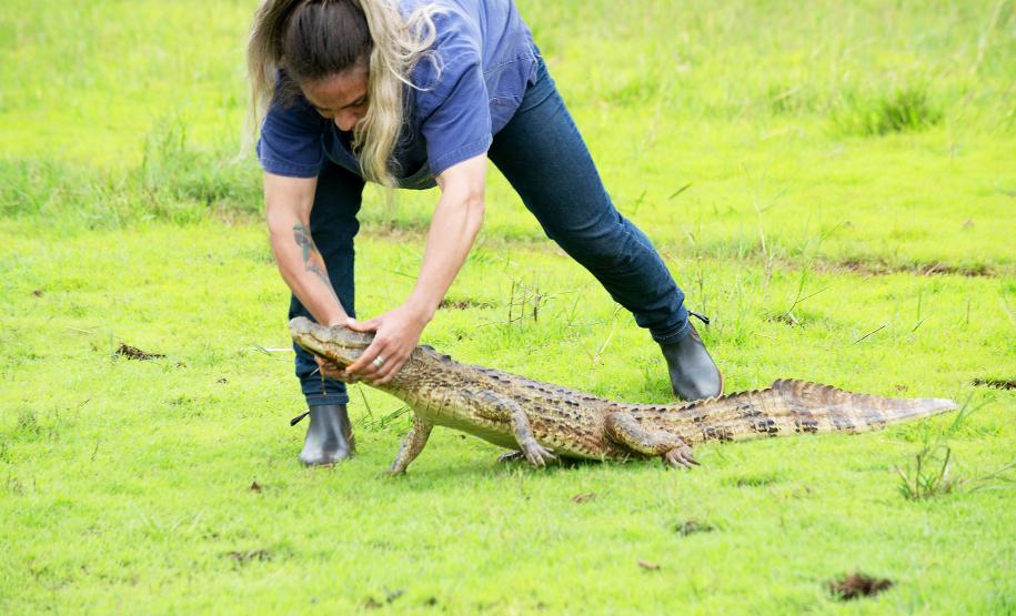 Para ampliar políticas públicas, Estado cria Superintendência-Geral de Proteção Animal