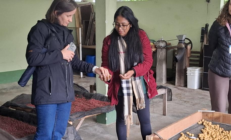 Um dia no viveiro: estudantes da UFPR conhecem viveiro do IAT em São José dos Pinhais