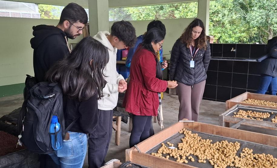 Um dia no viveiro: estudantes da UFPR conhecem viveiro do IAT em São José dos Pinhais