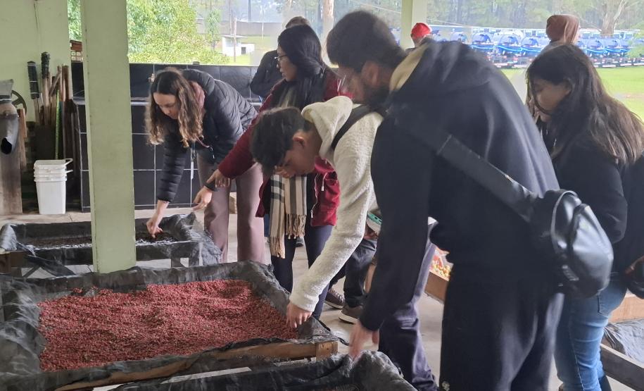 Um dia no viveiro: estudantes da UFPR conhecem viveiro do IAT em São José dos Pinhais