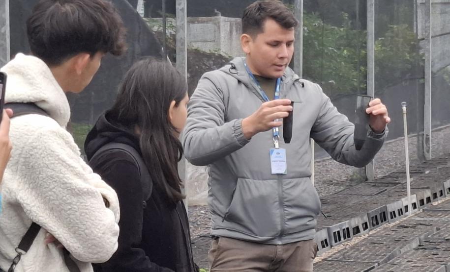 Um dia no viveiro: estudantes da UFPR conhecem viveiro do IAT em São José dos Pinhais