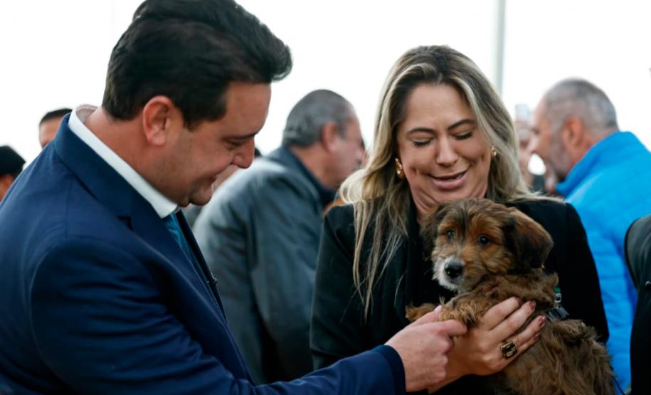 Estado fará 80 mil atendimentos em programa itinerante de consultas e vacinas para cães e gatos