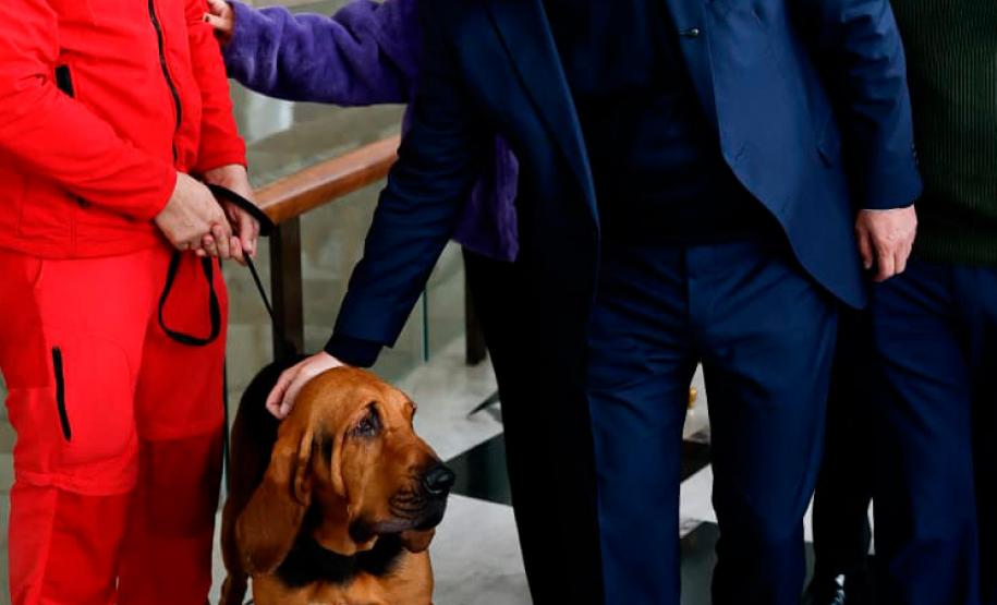 Estado fará 80 mil atendimentos em programa itinerante de consultas e vacinas para cães e gatos