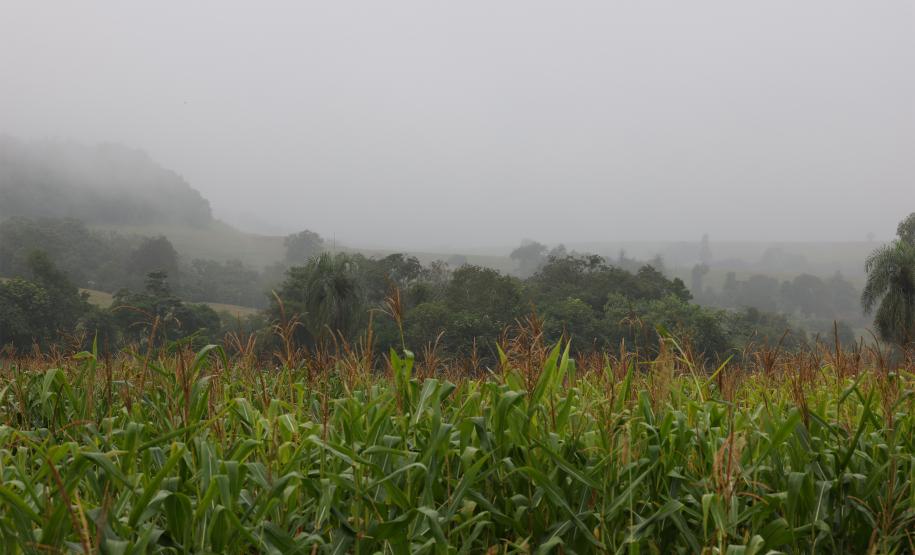 Tempestades retornam ao Paraná com chuvas mais expressivas na faixa central