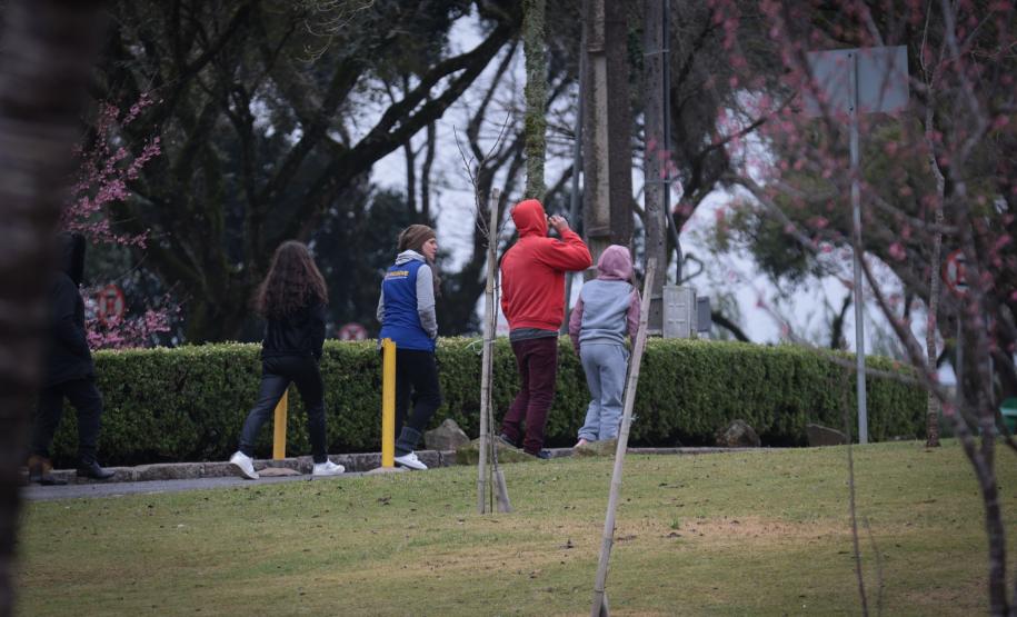 Intensa massa de ar polar derruba as temperaturas no Paraná nesta semana