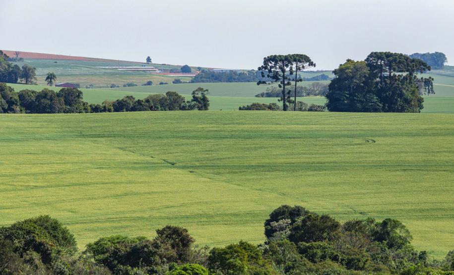 Dados federais confirmam liderança do Paraná na regularização ambiental rural do País