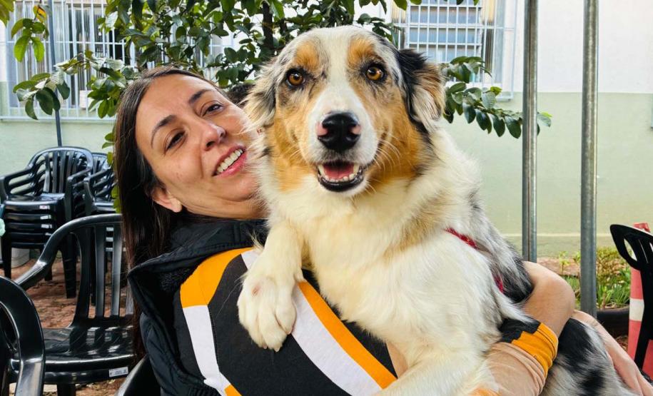 CastraPet Paraná atinge marca de 150 mil animais esterilizados em 392 municípios